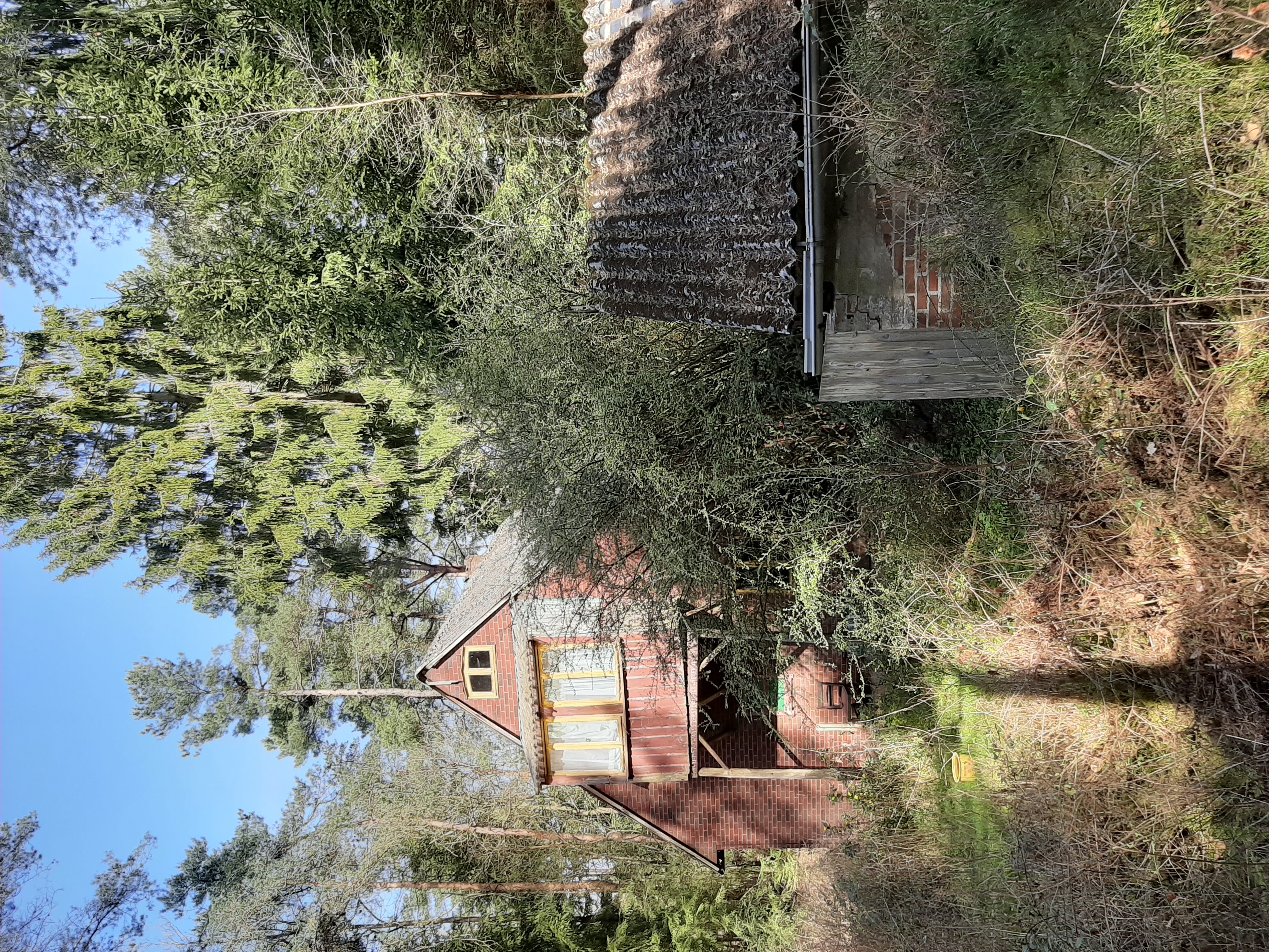 Spacery w takiej okolicy?